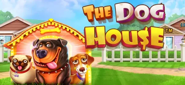 Dog House mega kazançları ve mega slot seçenekleri Türkiye'de Pinco'da